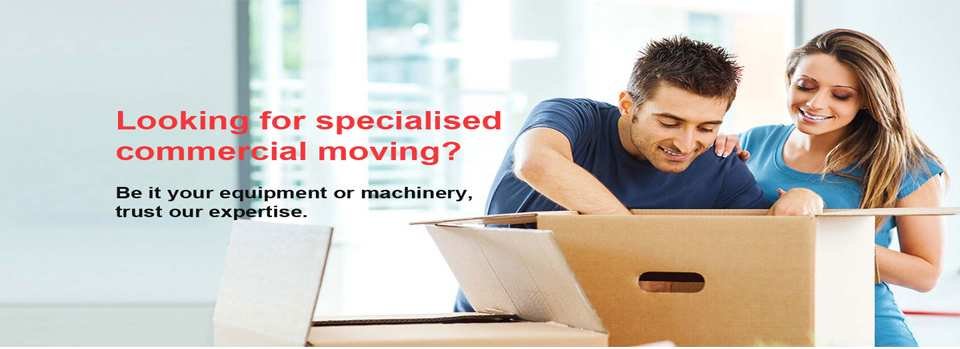 Leo PACKERS Contact Us